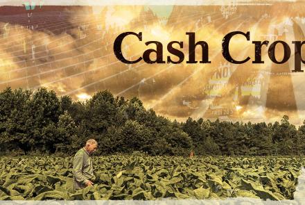 Cash Crop: asset-mezzanine-16x9