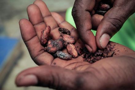 Hard-hit cocoa harvests cause chocolate prices to soar: asset-mezzanine-16x9