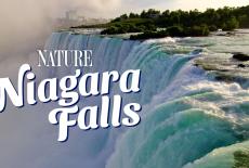 Nature: Niagara Falls: TVSS: Banner-L1
