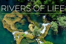 Rivers of Life: show-mezzanine16x9