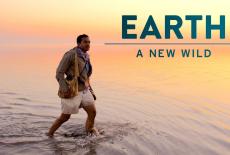 EARTH A New Wild: show-mezzanine16x9