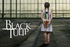 Black Tulip: show-mezzanine16x9