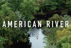 American River: TVSS: Banner-L1