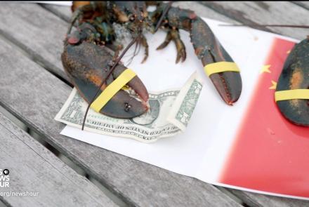How U.S.-China trade war is pushing lobster profit to Canada: asset-mezzanine-16x9