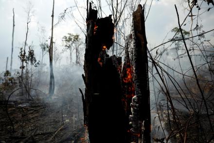 Deforestation is pushing the Amazon to a 'tipping point': asset-mezzanine-16x9