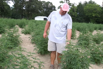 What's fueling the growth in North Carolina hemp production: asset-mezzanine-16x9