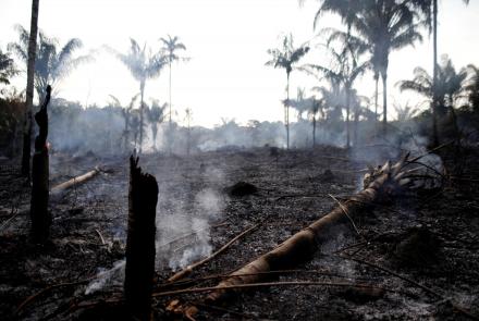Pressure mounts for Brazil to counter raging Amazon fires: asset-mezzanine-16x9