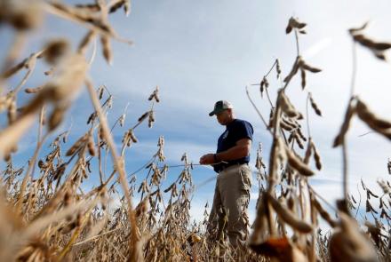 What struggling U.S. farmers want even more than federal aid: asset-mezzanine-16x9