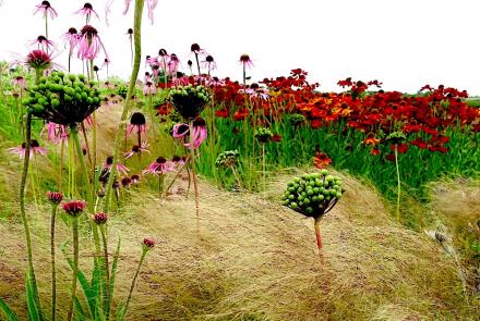 How garden designer Piet Oudolf captures nature's 'emotion': asset-mezzanine-16x9