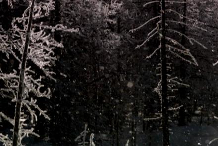 Short | Inside the Yellowstone Lodge | Christmas in...: asset-mezzanine-16x9