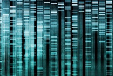 Cracking Your Genetic Code Preview: asset-mezzanine-16x9