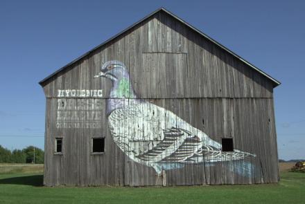 In rural Michigan, old barns become new art: asset-mezzanine-16x9