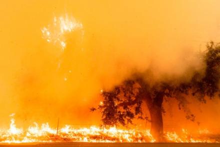 More firefighters battle growing California blazes: asset-mezzanine-16x9