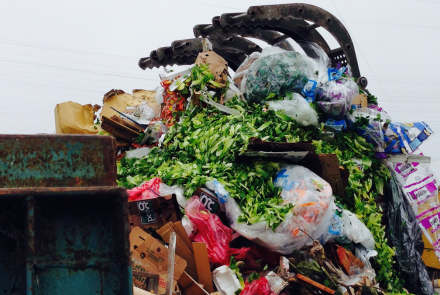 How Denver is tackling food waste to fight hunger, emissions: asset-mezzanine-16x9