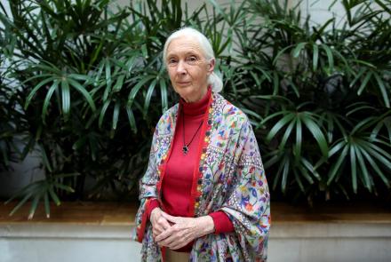 Jane Goodall on animal-human connections amid the pandemic: asset-mezzanine-16x9