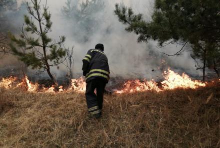 News Wrap: Ukraine wildfires cause surge in air pollution: asset-mezzanine-16x9