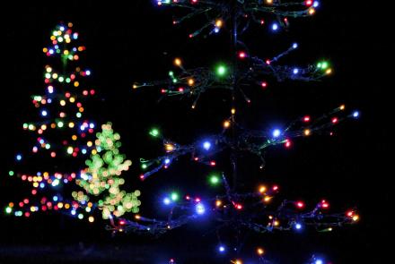 Lights Before Christmas: TVSS: Iconic