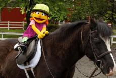 Sesame Street: Horsing Around: TVSS: Iconic
