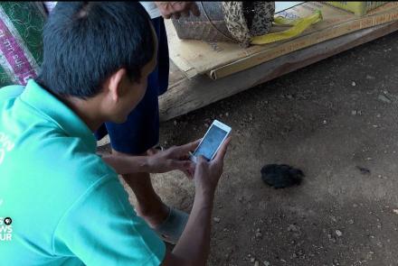 In Thailand, tracking animal health to prevent human disease: asset-mezzanine-16x9