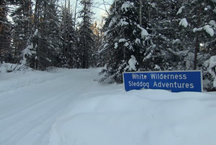 Warmer winters put Minnesota dog sledding at risk: asset-mezzanine-16x9